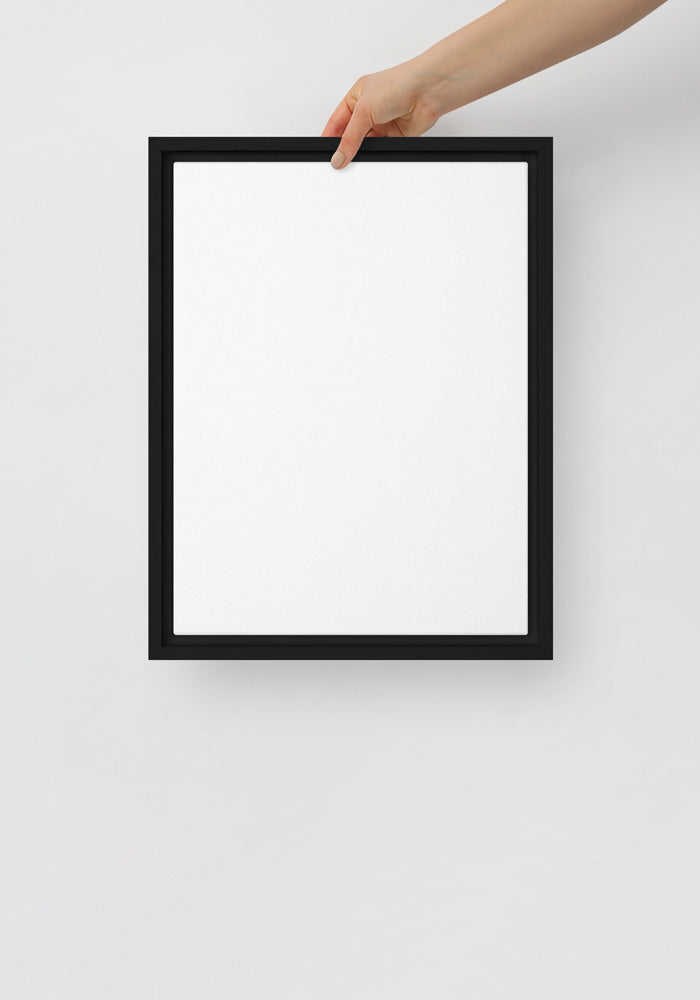 Framed canvas