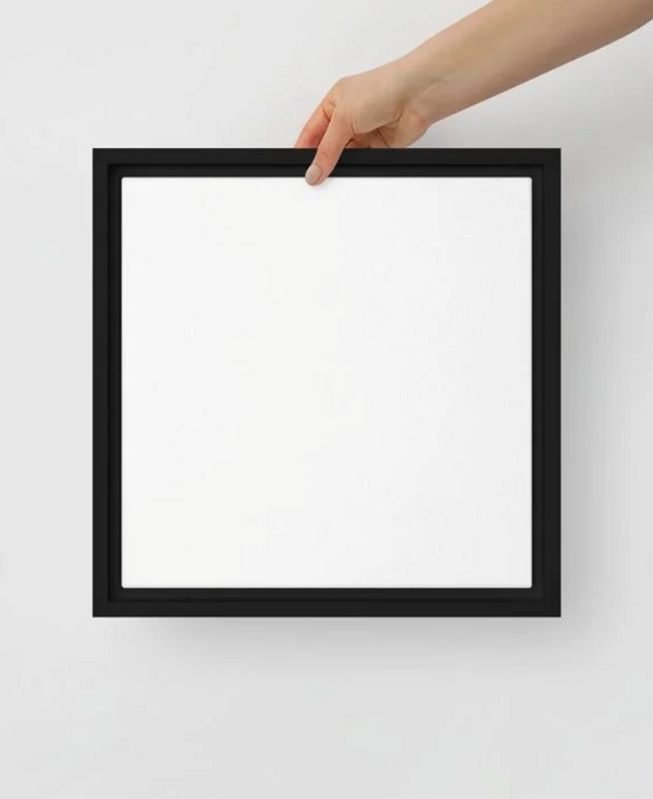 Framed canvas