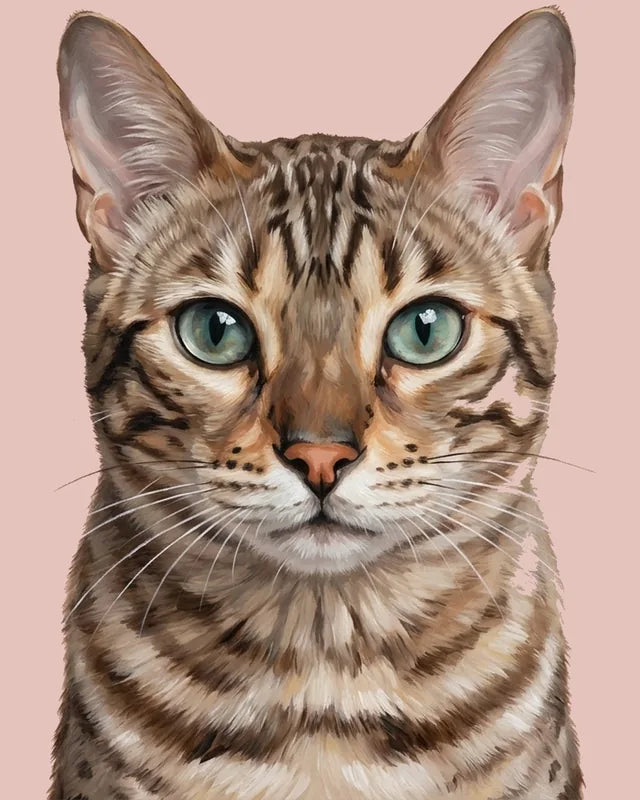 Acrylic style