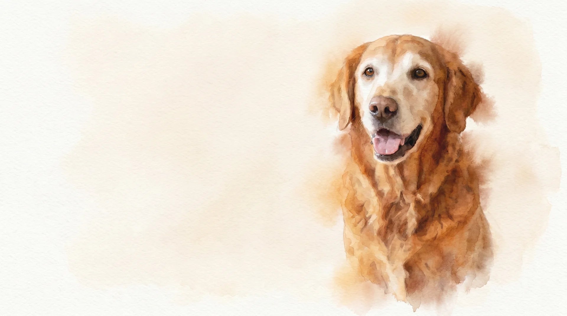 Soft watercolour keepsake of your pet